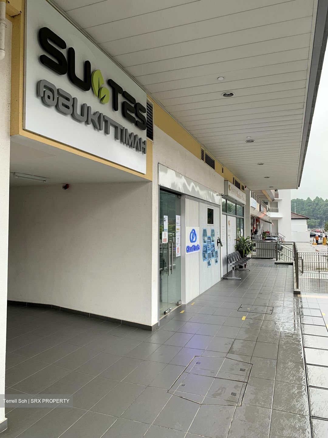 Suites @ Bukit Timah (D21), Shop House #456381181